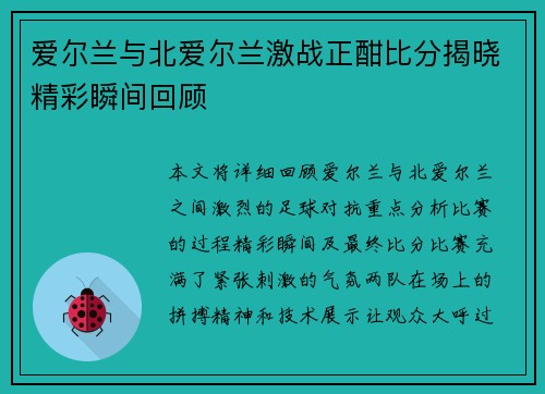 爱尔兰与北爱尔兰激战正酣比分揭晓精彩瞬间回顾