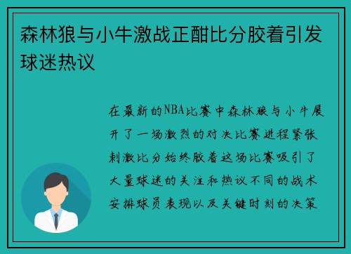 森林狼与小牛激战正酣比分胶着引发球迷热议